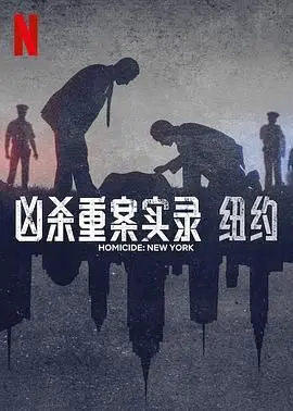 《凶杀重案实录：纽约》：比美剧还硬核！这罪案片看得我头皮发麻，真相藏在细节里！