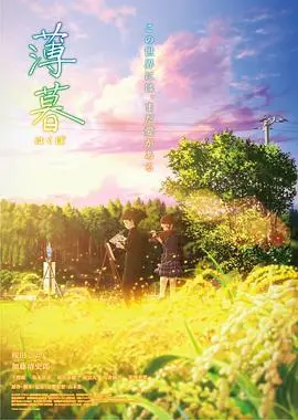 《薄暮》：冬日暖阳下的治愈诗篇！捕捉城市角落的温情与人生微光。